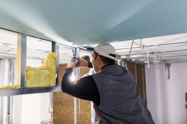 Best Specialized Insulation Services in East Lake, FL