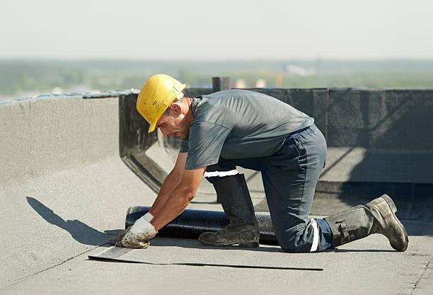 Best Spray Foam Insulation in East Lake, FL
