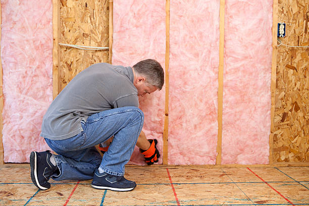 Types of Insulation We Offer in East Lake, FL